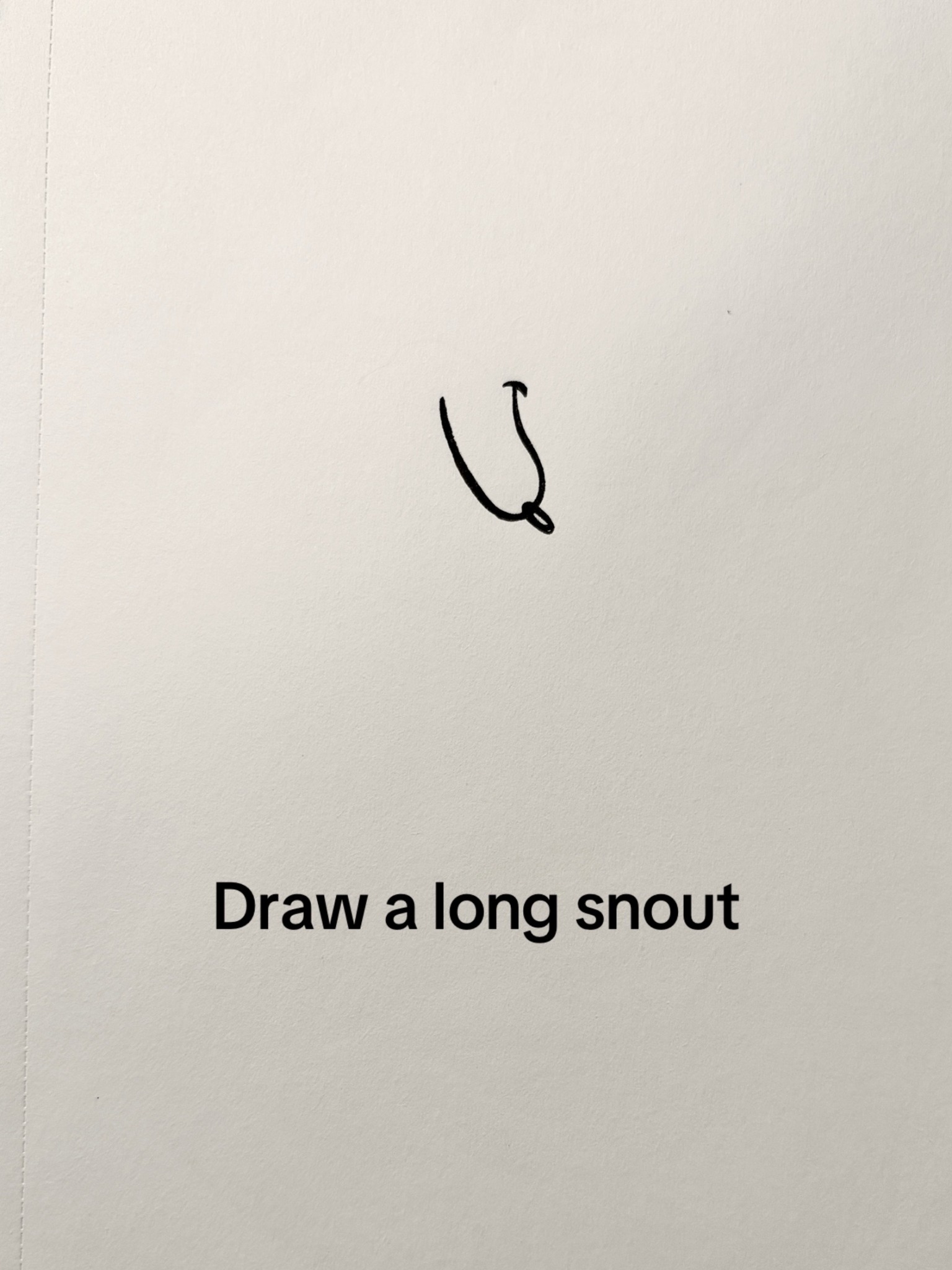 Draw the long snout
